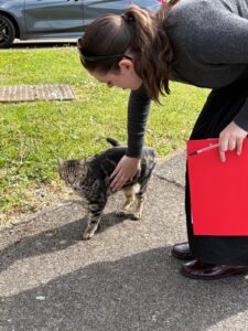A member of Sarah's team with a clipboard stroking a cat